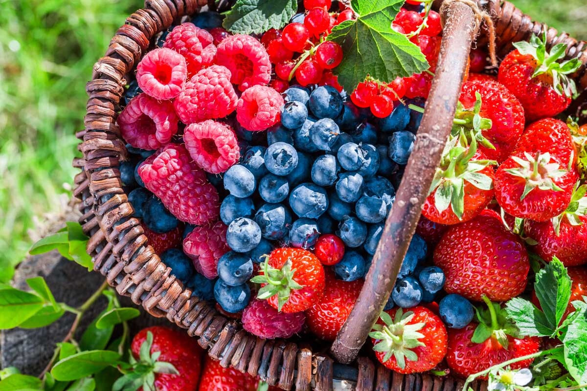 Organic friuts